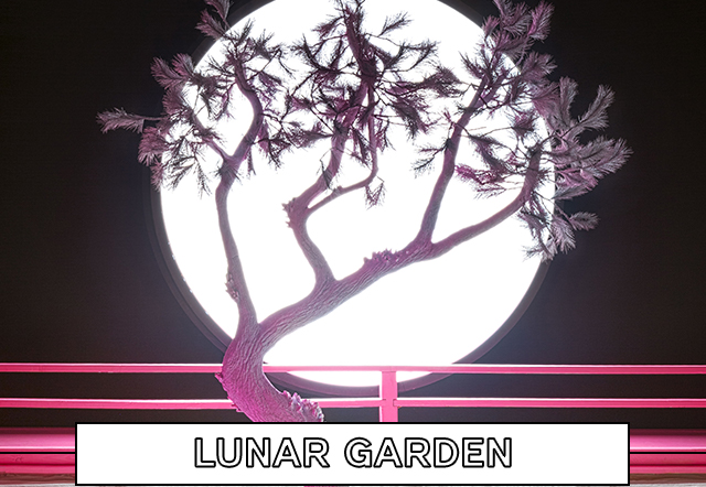 Lunar Garden